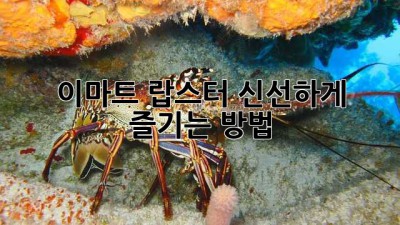 이마트 랍스터, 신선하게 즐기는 방법!