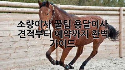 소량이사 꿀팁🍯 용달이사 견적부터 예약까지 완벽 가이드!
